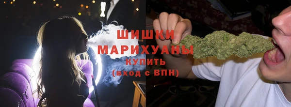 a pvp Аркадак