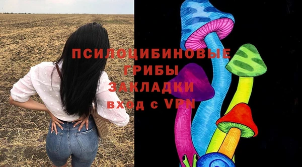 первитин Арсеньев