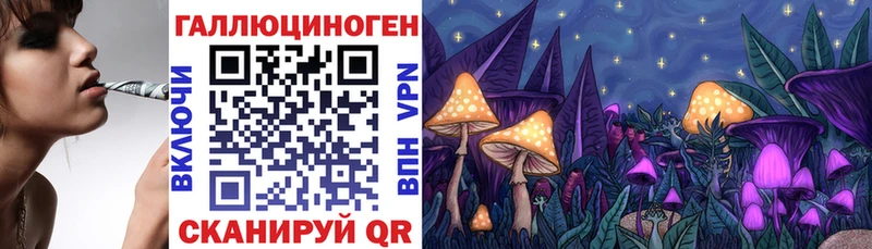 Псилоцибиновые грибы Psilocybine cubensis  Тавда 